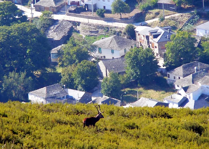 El Campano 게스트하우스 3*